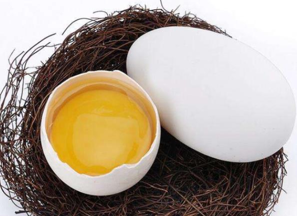鹅蛋和鸡蛋能一起吃吗 同吃营养过剩消化不良