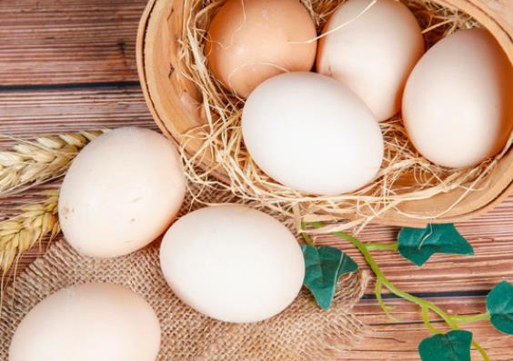 吃鸡蛋会胀气吗 蛋白质胆固醇等不利于消化