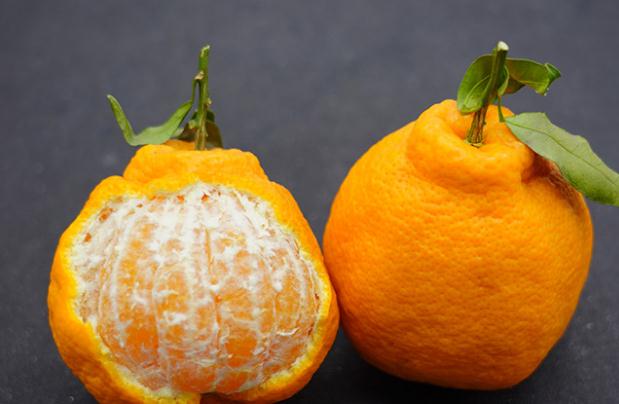 丑橘和橘子有什么区别？丑橘不