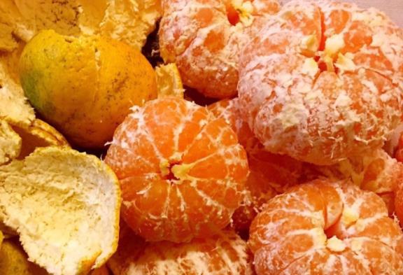 吃橘子可以喝牛奶吗 同吃不利于蛋白质吸收引起肠胃