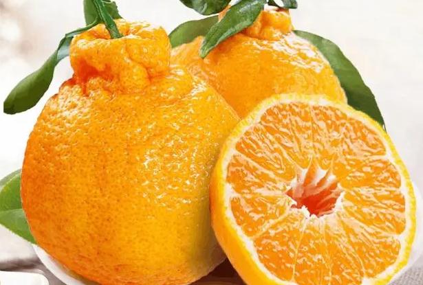丑橘的功效作用有哪些？吃丑橘的坏处有哪些？