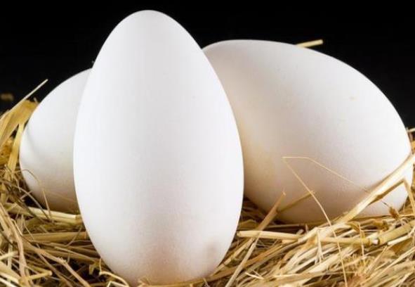 吃鹅蛋不能吃什么 高胆固醇
