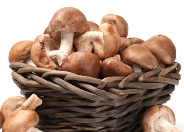 香菇可以放在冰箱里保存吗 3-5度减缓变质速度