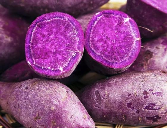 煮紫薯用热水还是凉水 热水