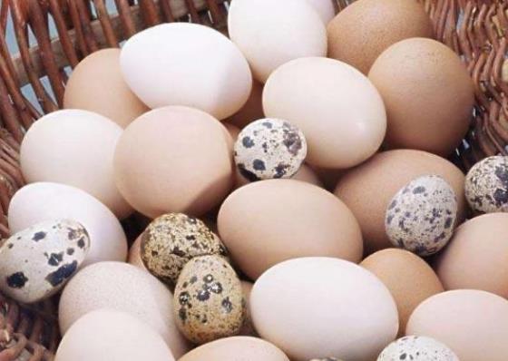 吃鹅蛋可以美容吗 脂肪维生素磷脂能够皮肤水分弹性