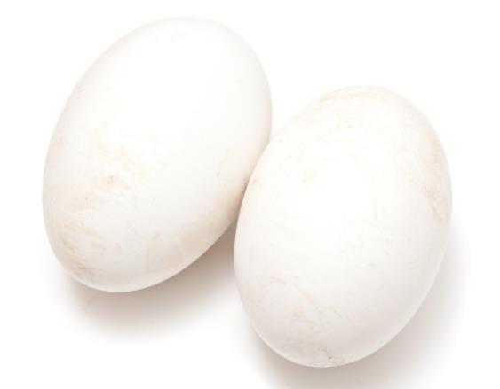 小孩可以吃鹅蛋吗 蛋白质卵磷脂等益智健脑强筋健骨
