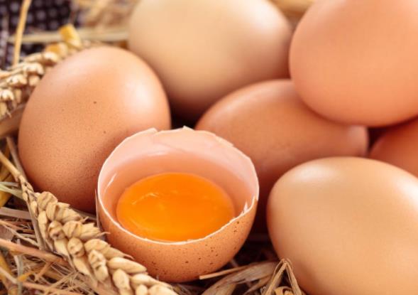 吃鸡蛋可以补脑吗 DHA卵磷脂