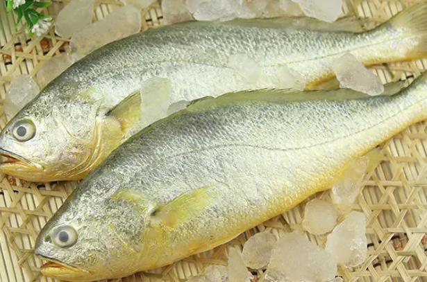 花黄鱼的营养价值及禁忌有哪些？黄花鱼热量高吗？