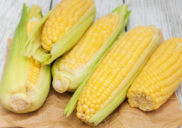 吃玉米会回奶吗 粗粮类,刺激肠道补充维生素