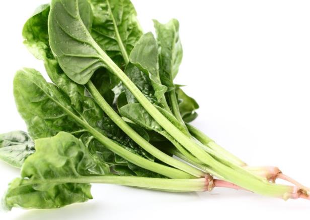 吃菠菜可以补铁吗 铁含量1.8mg/100克,不易被吸收