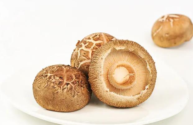 痛风可以吃香菇吗 嘌呤含量高,易引发尿酸波动