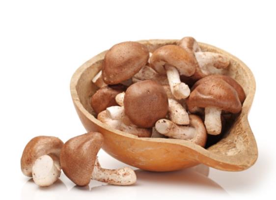香菇的功效与作用 降脂降压延缓衰老提高免疫力