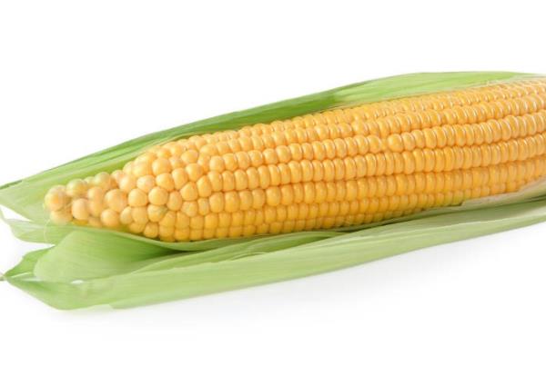 吃玉米能缓解便秘吗 异麦芽