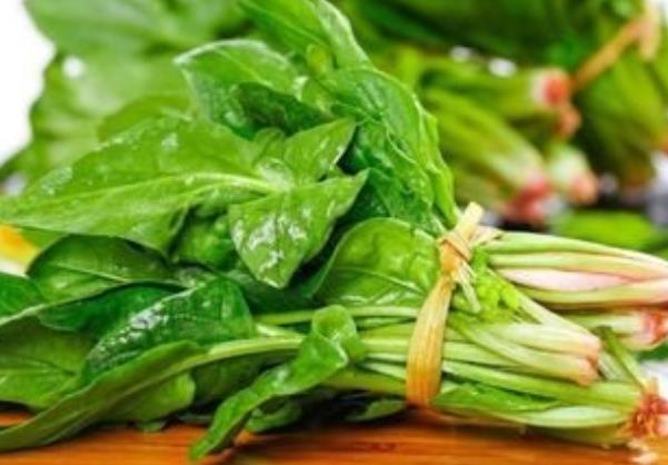 吃菠菜拉肚子怎么回事 凉性,刺激肠胃引起肠胃不适