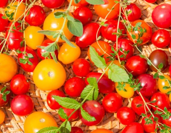番茄有霉点可以吃吗 霉菌毒素引起腹痛呕吐腹泻发热
