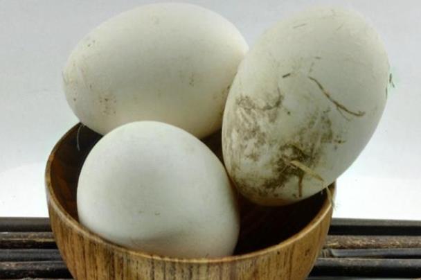 鹅蛋的热量是多少 196大卡/100克,蛋白质11.1克/100