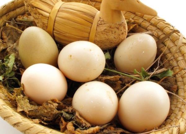 吃鹅蛋会过敏吗 蛋白质含量较高,易皮肤瘙痒红肿恶心