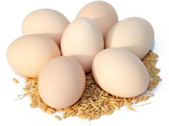 高血压能吃鸡蛋吗 卵磷脂减