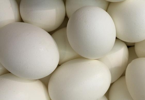 吃鹅蛋胆固醇会增高吗 过量