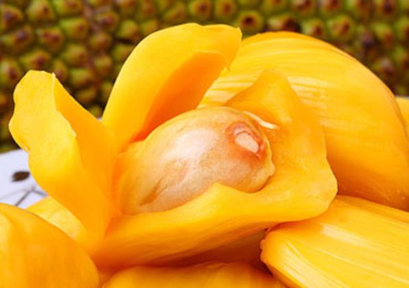吃菠萝蜜会过敏吗 菠萝蛋白