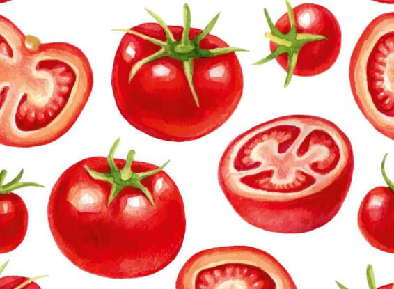 番茄含有维生素C吗 14毫克/100g,抗氧化美容养颜