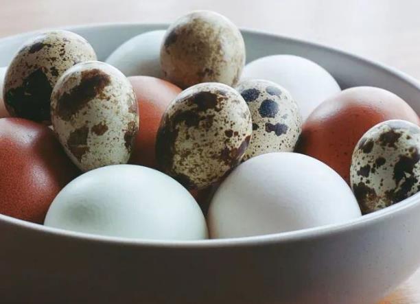 鹅蛋不适合什么人群吃 减肥低热肝脏功能不全过敏者
