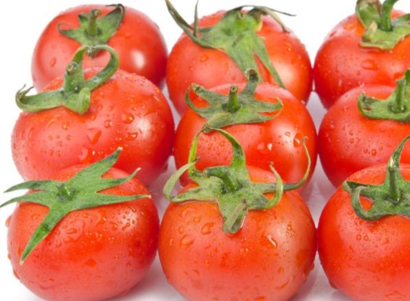 番茄里有绿色可以吃吗 龙葵素导致呕吐腹泻