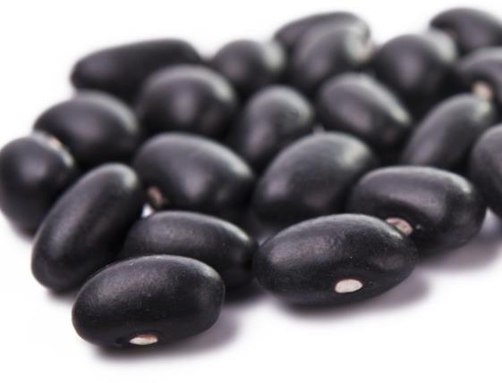 黑豆的功效与作用 美容养颜
