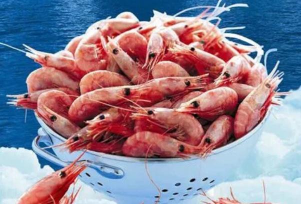 北极虾的做法是什么？北极虾能蘸酱吃吗？