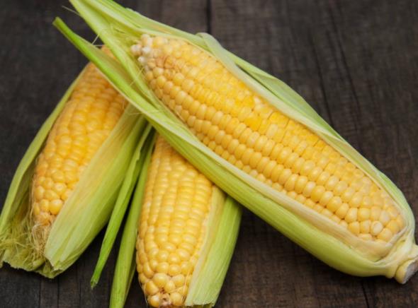 玉米的营养价值和功效 美容