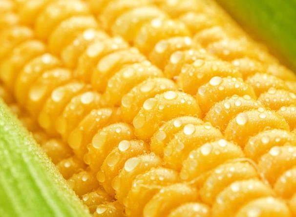 吃玉米可以美容吗 维生素谷胱甘肽延缓衰老
