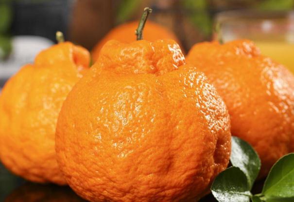 女人吃丑橘有什么好处？什么人不能吃丑橘？