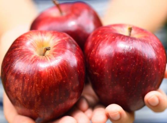 吃苹果胃不舒服是什么原因 刺激胃黏膜,忌过量