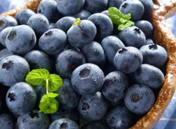 蓝莓的功效与作用 美容养颜,