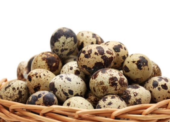 鹌鹑蛋的作用与功能 补血改善食欲促进生长发育保护