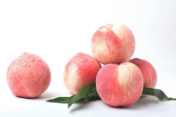 桃子是果实还是种子？桃子的营养价值及功效(1)