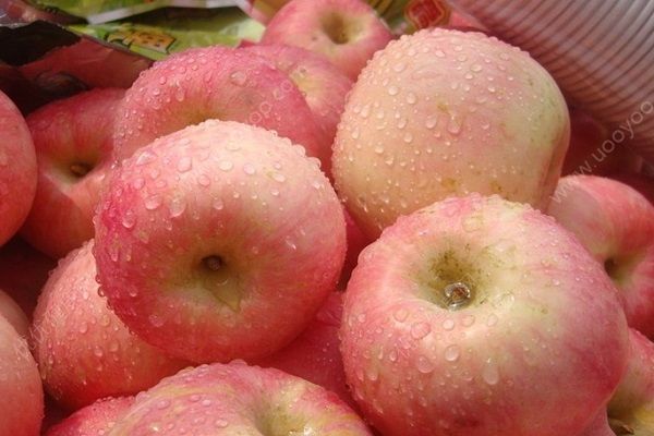 桃子和苹果可以一起吃吗？桃子和苹果哪个减肥好？[多图]