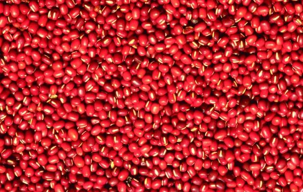 红豆沙的功效与作用有哪些？红