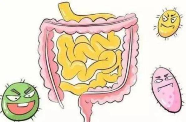 肠炎的主要症状有哪些 恶心