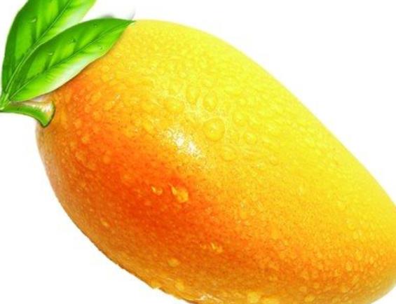 糖尿病人能吃芒果吗 升糖指数55,忌过量食用