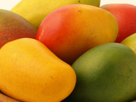 经期可以吃芒果吗 适宜吃提高抵抗力,清洁血液,忌过