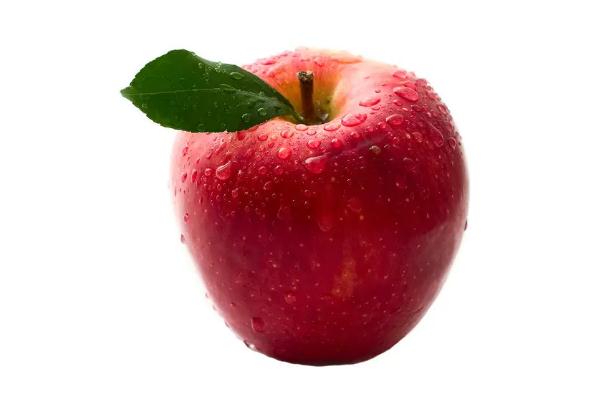苹果是热带水果吗？加力果和苹果的区别是什么？
