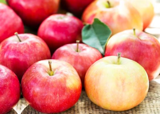 吃苹果会发胖吗 膳食纤维促进肠道蠕动，减重