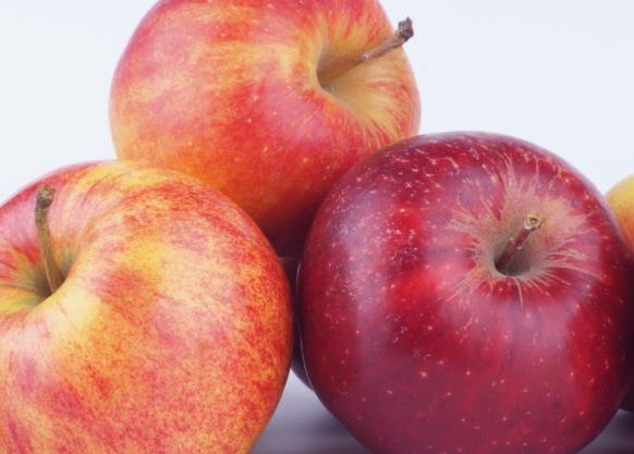 吃苹果对肾有好处吗 营养丰富,保证肾脏所需