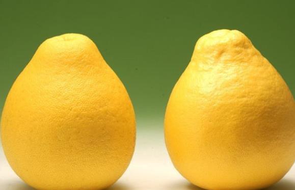 吃柚子可以止咳吗 柠檬烯派