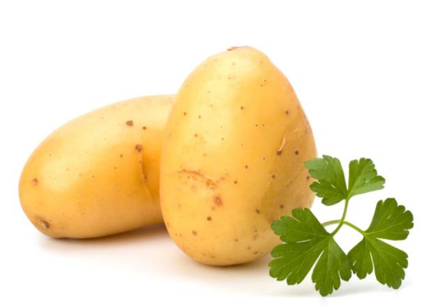 土豆的淀粉含量高吗 20％,比米