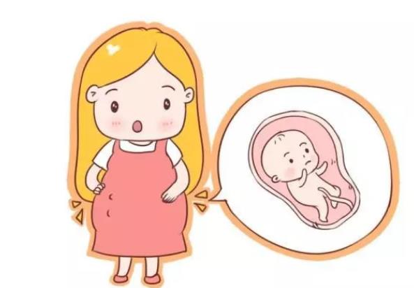 胎动几个月开始 18—20周开