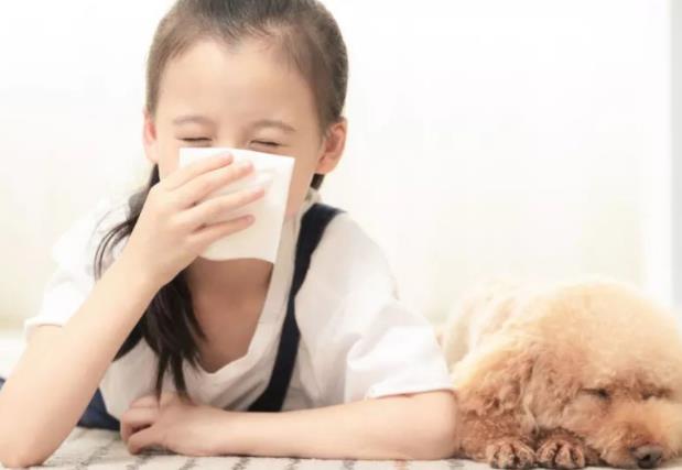 孩子过敏会引起发烧吗 咳嗽潮红湿疹瘙痒等