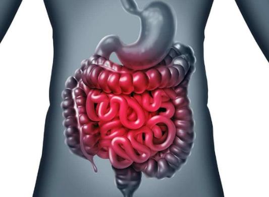 为什么最近总是胃酸？怎么判断自己胃出血了没