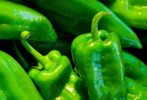 青椒有哪些功效与作用？吃青椒